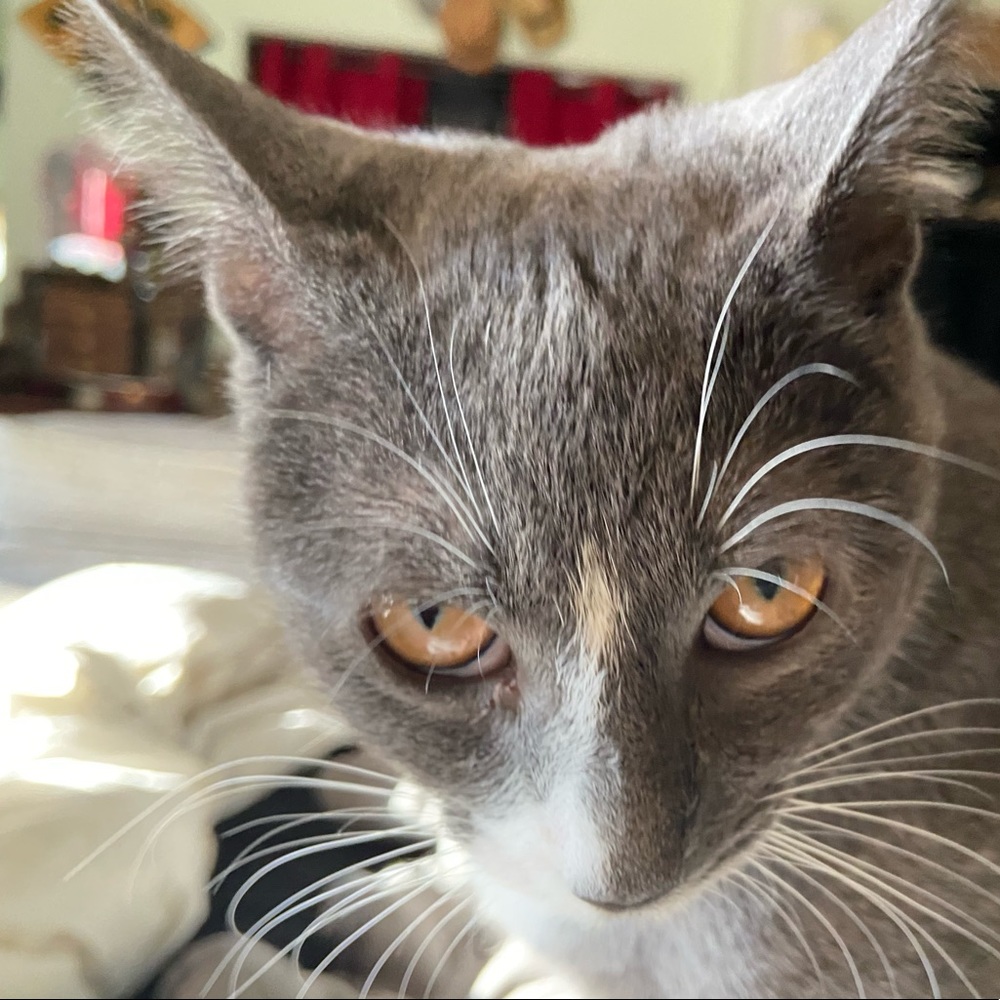 Meet your Posher, Christy